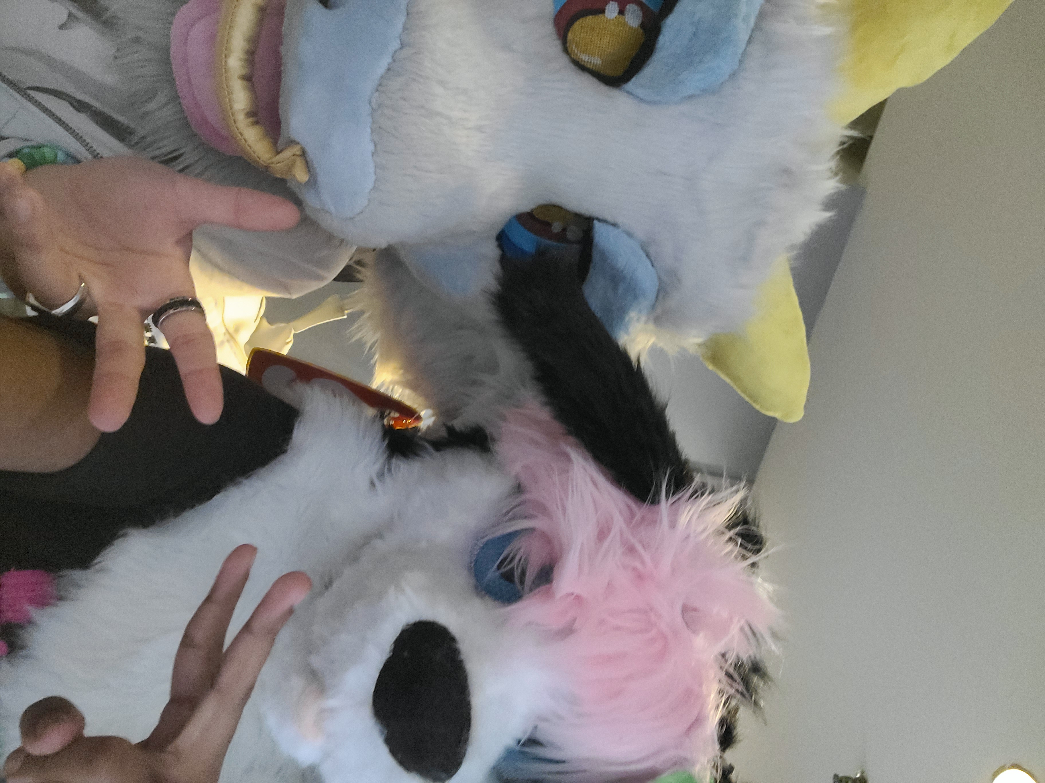 Suiter is Soju!
