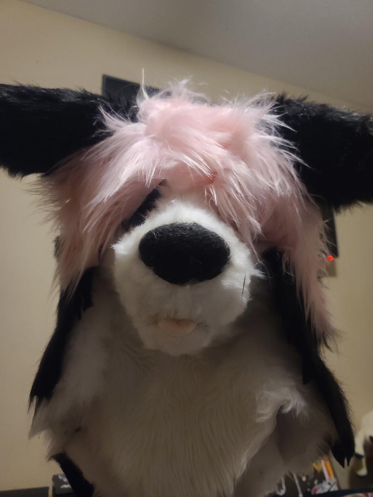 A picture of the suit when the hair was done